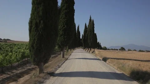 CAR POV WS Driving down dirt road lined with cypress trees / Tuscany, Italy Stock Footage 69971924