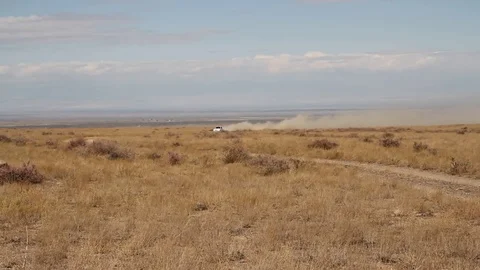 Car quickly rushes on the dusty road Stock Footage 80291337