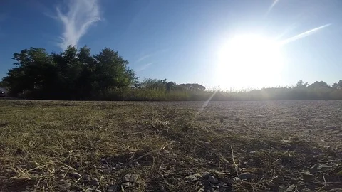Car race show with Dust Clouds rising - GoPro camera against the Sun Stock Footage 86084678