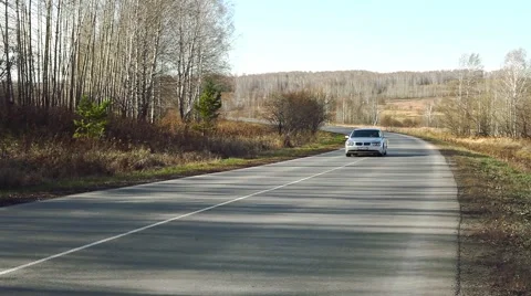 Car racing on the forest zone Stock Footage 48170207