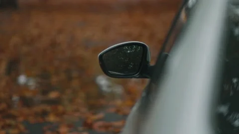 The car rearview mirror and the ground are covered with autumn golden leaves Stock Footage 221457257