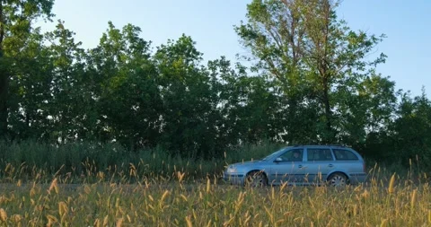 Car on rhe field Stock Footage 159480149