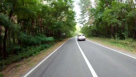 Car ride through forest road. SUV driving at beautiful countryside route Stock Footage 306928216