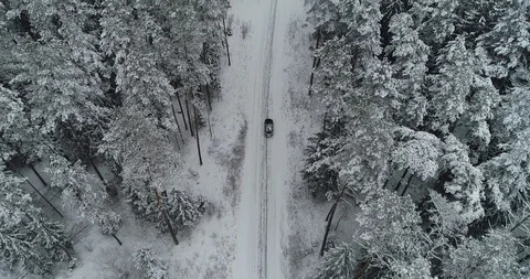 Car ride through winter forest Stock Footage 101090795