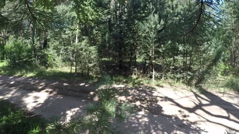 The car rides along the path in the forest. Stock Footage 130733681
