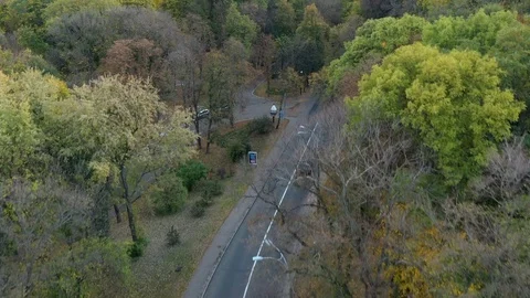 The car rides on the bridge Stock Footage 119966833