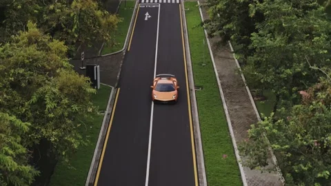 Car rides in the park 動画素材 156963897