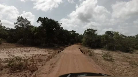 Car rides the rainforest, motion timelapse 库存影片 95980586