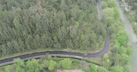 Car rides on the road between trees near the lake. Green forest. Sunny summer Stock Footage 194945427