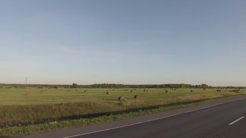 Car rides on the road surrounded by field - haystacks lie on the ground - view Stock Footage 71620799