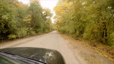 The car rides through the autumn forest Stock Footage 80986705