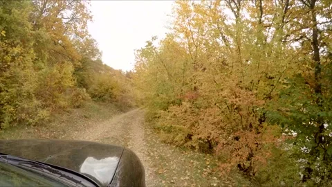 The car rides through the autumn forest Stock Footage 120424131