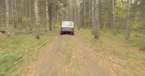 Car rides through the forest Stock Footage 91208794