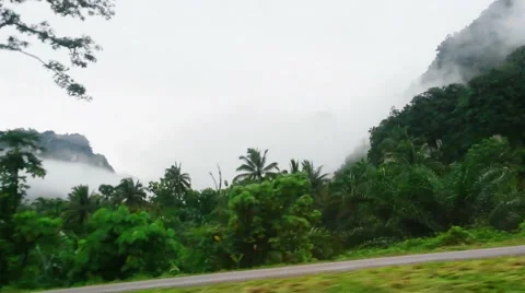 Car Rides Thuough The Junge Видео 54601647