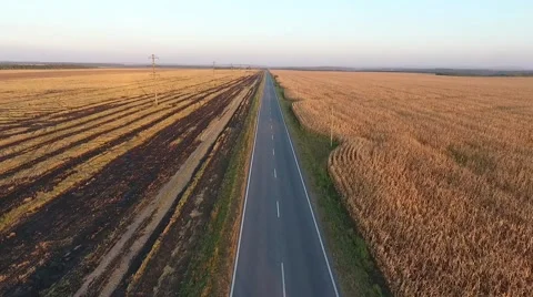 The Car Rides on the Way. Stock Footage 67975680