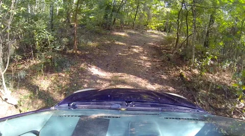 Car rides in the woods. Stock Footage 42741541