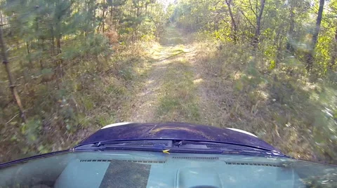Car rides in the woods. Stock Footage 42768010