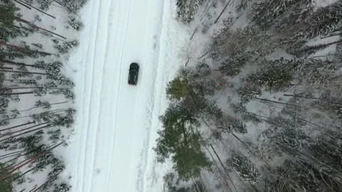 The car rides in the woods Vídeo Stock 86843670