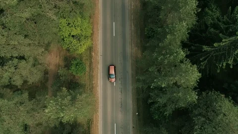 Car rides in the woods1 Stock-Footage 129807229