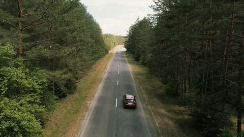 Car rides in the woods2 Stock Footage 129807580