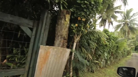 Car riding view along back street road over look out to house residential neighb Stock-Footage 245443887