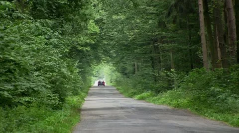 Car on a road Stock Footage 10605929