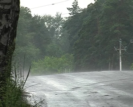 Car on the road in the forest Stock Footage 6718501