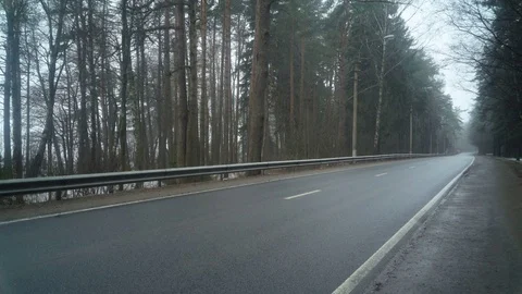 Car On The Road In The Forest Video stock 74701459