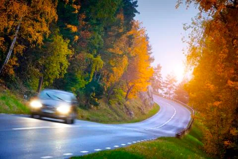 Car on the road in the forest Stock Photos