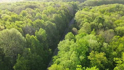 Car on road in the forest in summer time nature from air . View from a drone. Video stock 154476138