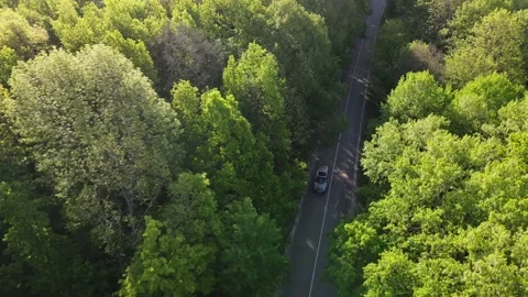 Car on road in the forest in summer time nature from air . View from a drone. 스톡 동영상 154476162