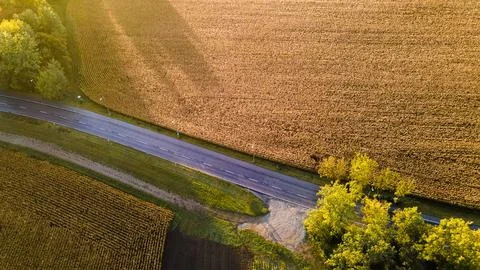 Car road going through the field at sunset. Landscapes in Bavaria, Germany Stock Photos