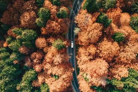 Car on the road surrounded by forest in the fall. Carpathian Mountains, Roman Stock Photos