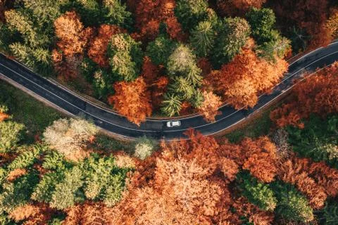 Car on the road surrounded by forest in the fall. Carpathian Mountains, Roman Stock Photos