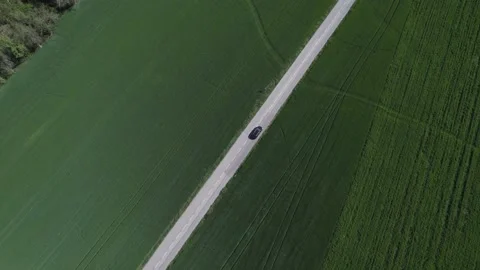 Car on a road surrounded by green fields, captured with a drone Stock Footage 239897717
