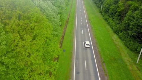 Car on the road trough forest Stock Footage 309185351