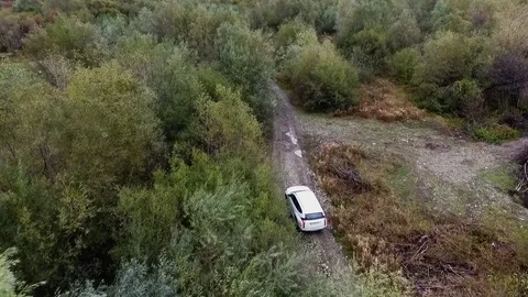 Car on a rough road in the woods Video stock 75569627