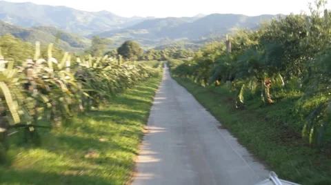 Car running 스톡 동영상 45123563