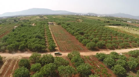 Car Running through the Fields Stock Footage 52208900