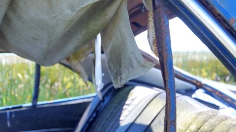 Car Rusts in Field Stock Footage 97997089