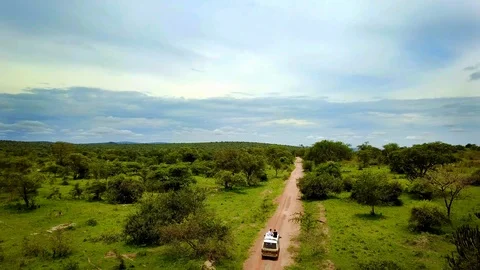 Car on safari road Stock Footage