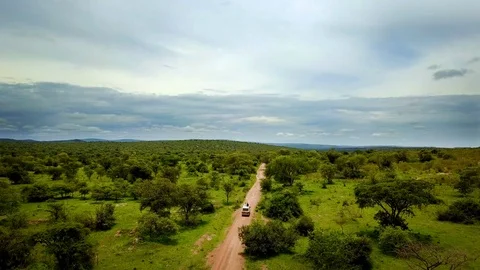 Car on safari road (wider shot) Stock Footage