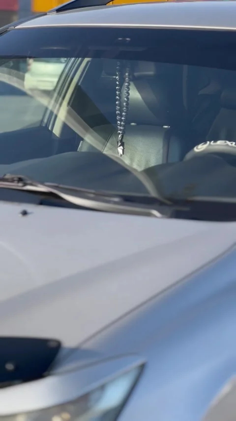 Car salon from front of Lexus Stock Footage 238788625
