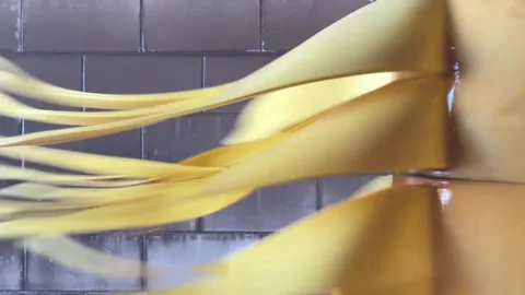 Car Scrubber Extreme Close-Up Stock Footage 245051230