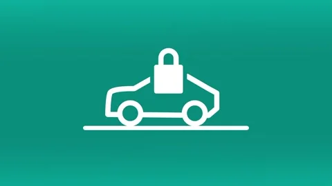 Car Security Stock Footage 334342719