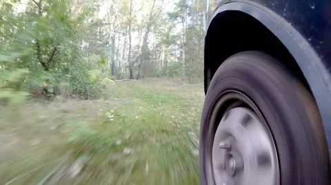 The car is set in the woods. Stock Footage 42673787