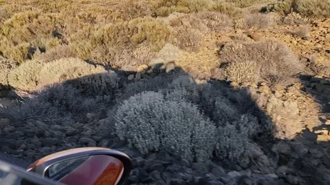 Car shadow on the roadside Stock Footage 126064212