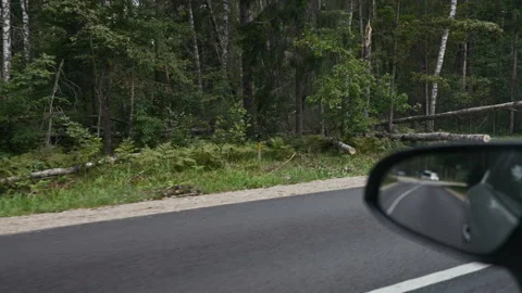 Car side mirror reflecting curving forest road beside dense green woodland and Stock Footage 344769593