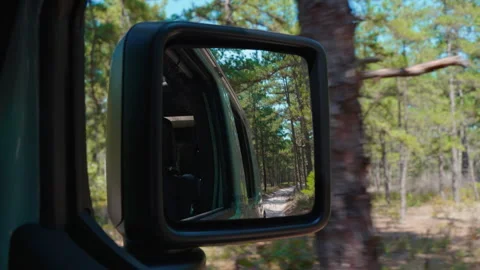Car side-view mirror with forest in background Vídeo Stock 254310488