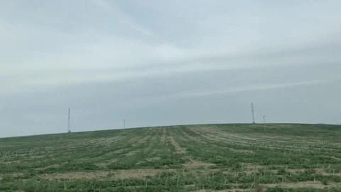 Car side window view to a field and trees along the road.  Stock Footage 118249605
